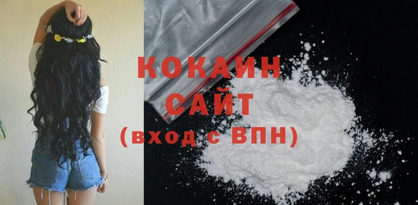 шишки Наволоки